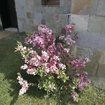 Apartmán Sea Garden *