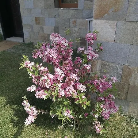 Apartamento Sea Garden *